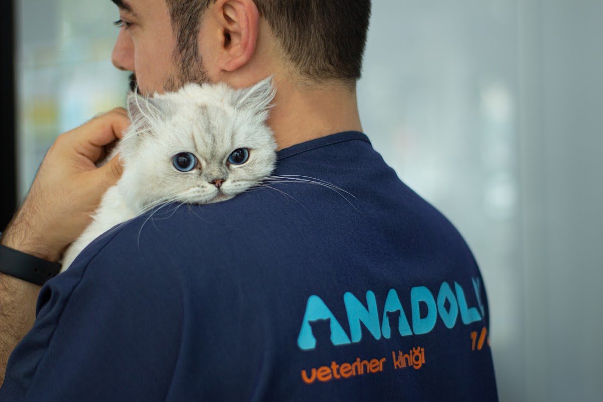Anadolu Veteriner Polikliniği
