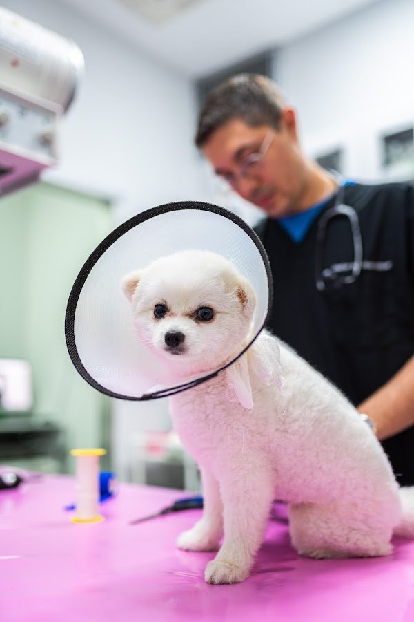 Caka Veteriner Kliniği 7 / 24 Acil