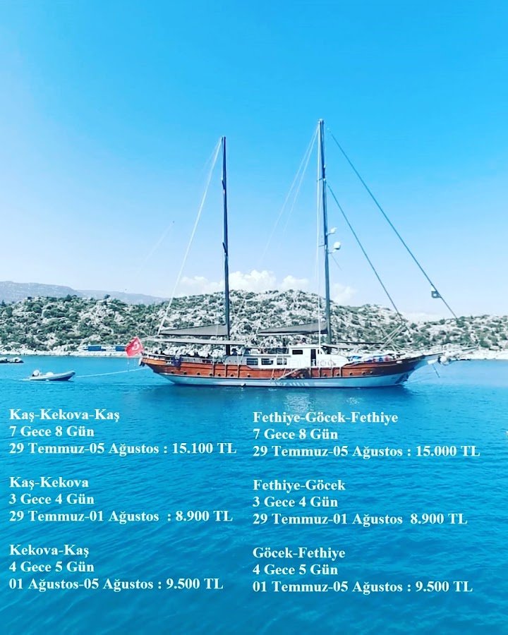 Moya Tur Seyahat Acentesi