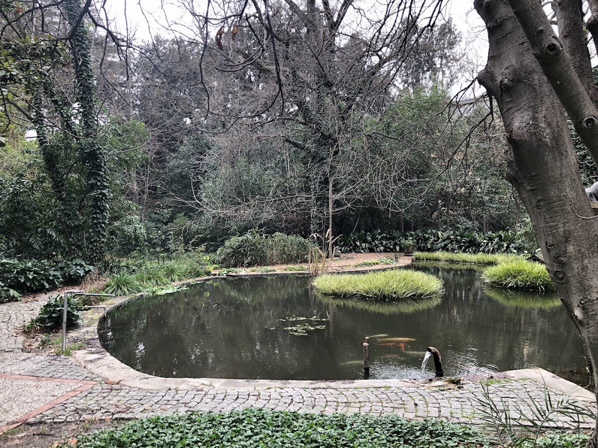 Edward Whittall Garden