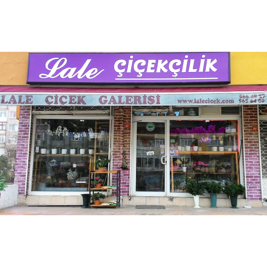 Kadıköy Çiçekçi & Lale Çiçek Galerisi