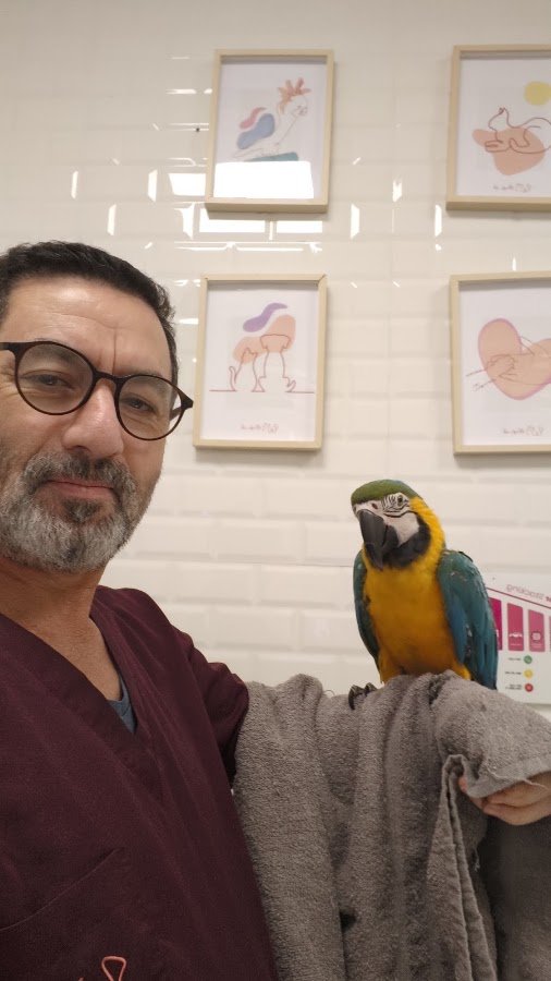 Vetistanbul Veteriner Kliniği - Kağıthane