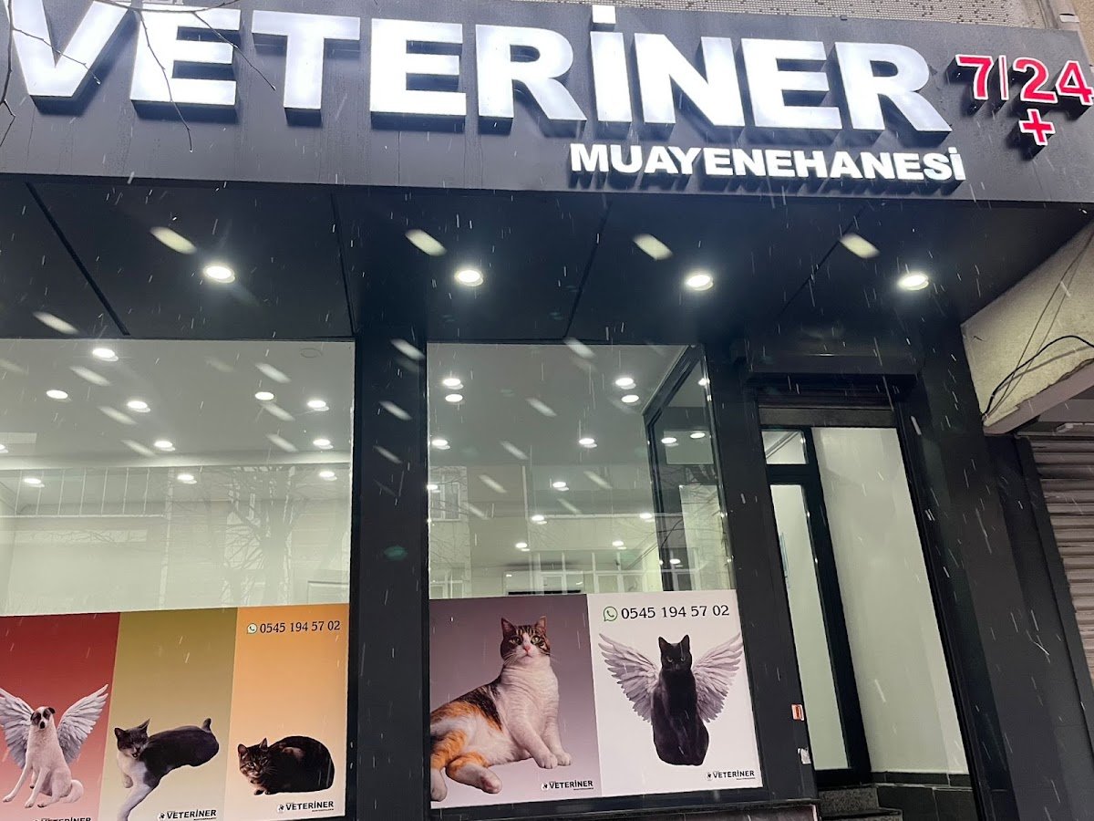 7 / 24 Acil Nöbetçi Patigazi Veteriner Kliniği