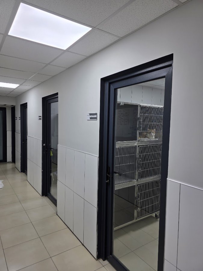 Borvet Veteriner Kliniği