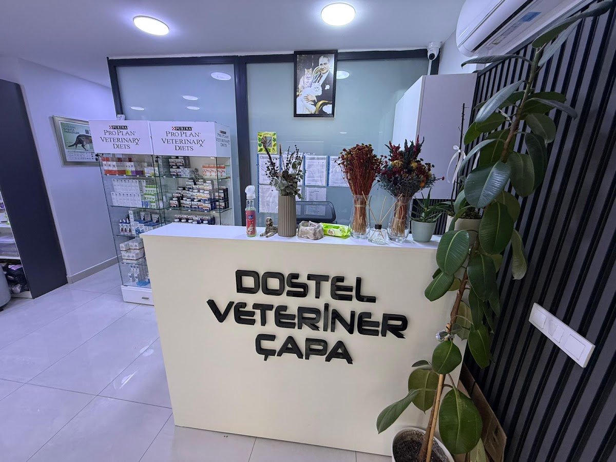 Dostel Veteriner Kliniği Çapa