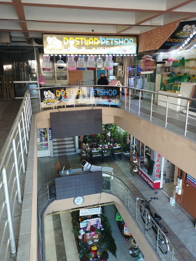 Yunus Akvaryum ve Kuş Galerisi