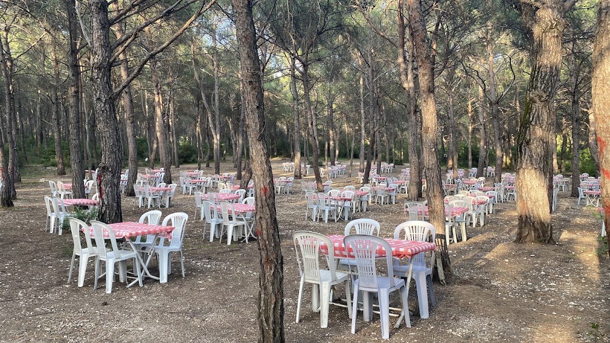 Moment Tabiat Parkı