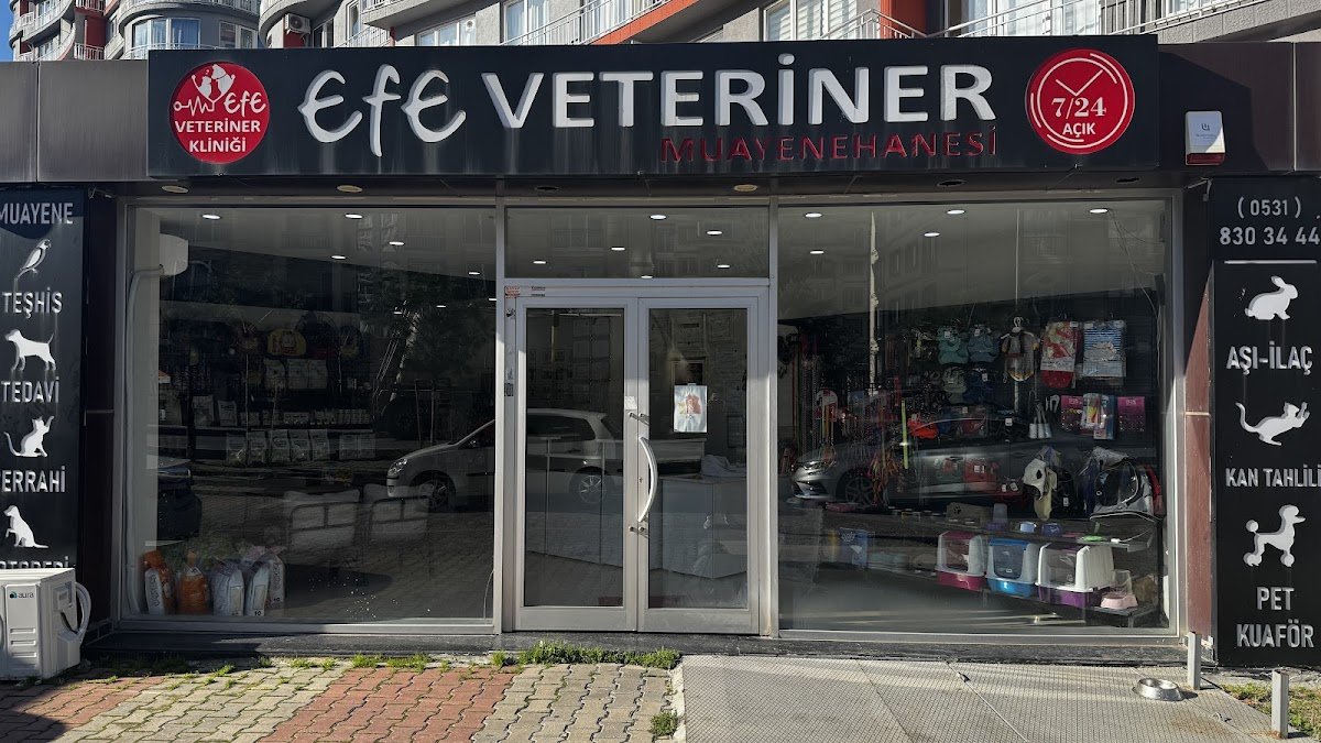 Efe Veteriner Kliniği, İstanbul Veteriner Kliniği, Esenyurt Veteriner Kliniği, Beylikdüzü Veteriner Kliniği