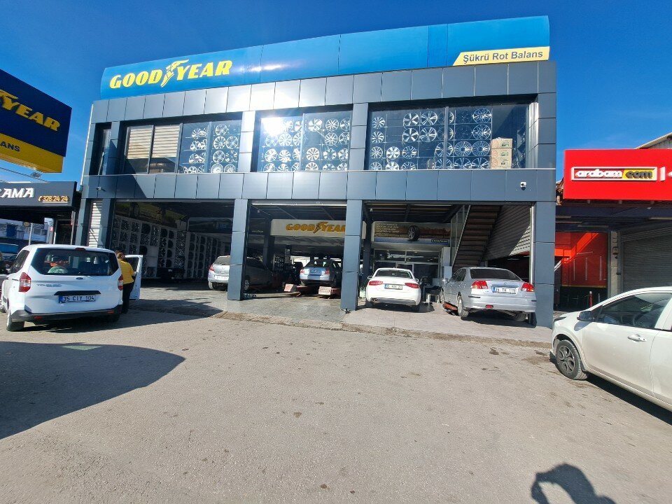 Goodyear Şükrü Rot Balans