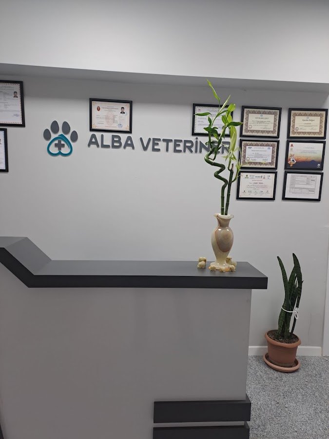 Beylikdüzü Veteriner - Alba Veteriner Kliniği | Beylikdüzü 7 / 24 Veteriner Kliniği - Arayıp Randevu Alınız