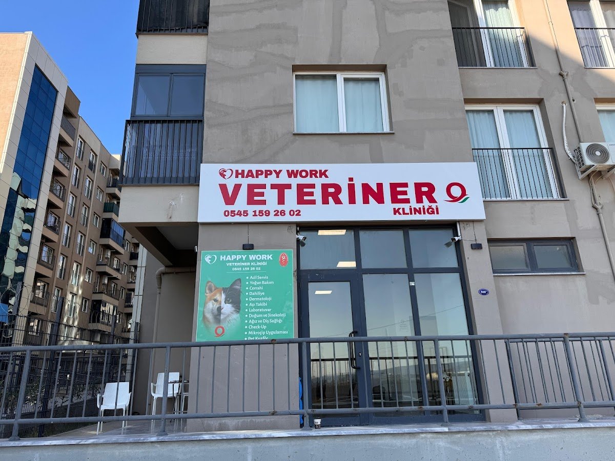 Happy Work Veteriner Kliniği