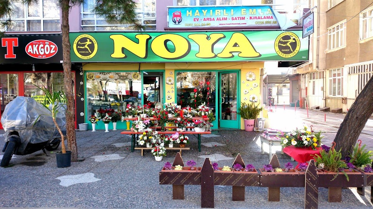 Noya Çiçekçilik