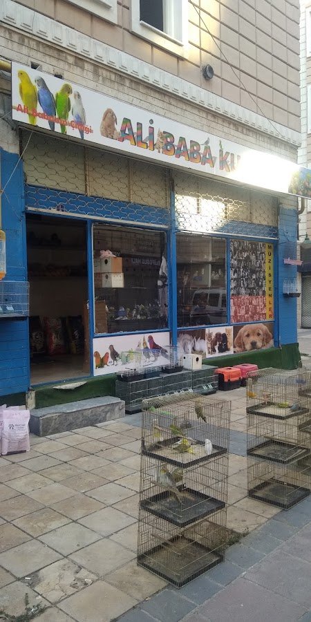Ali Baba Kus Evi