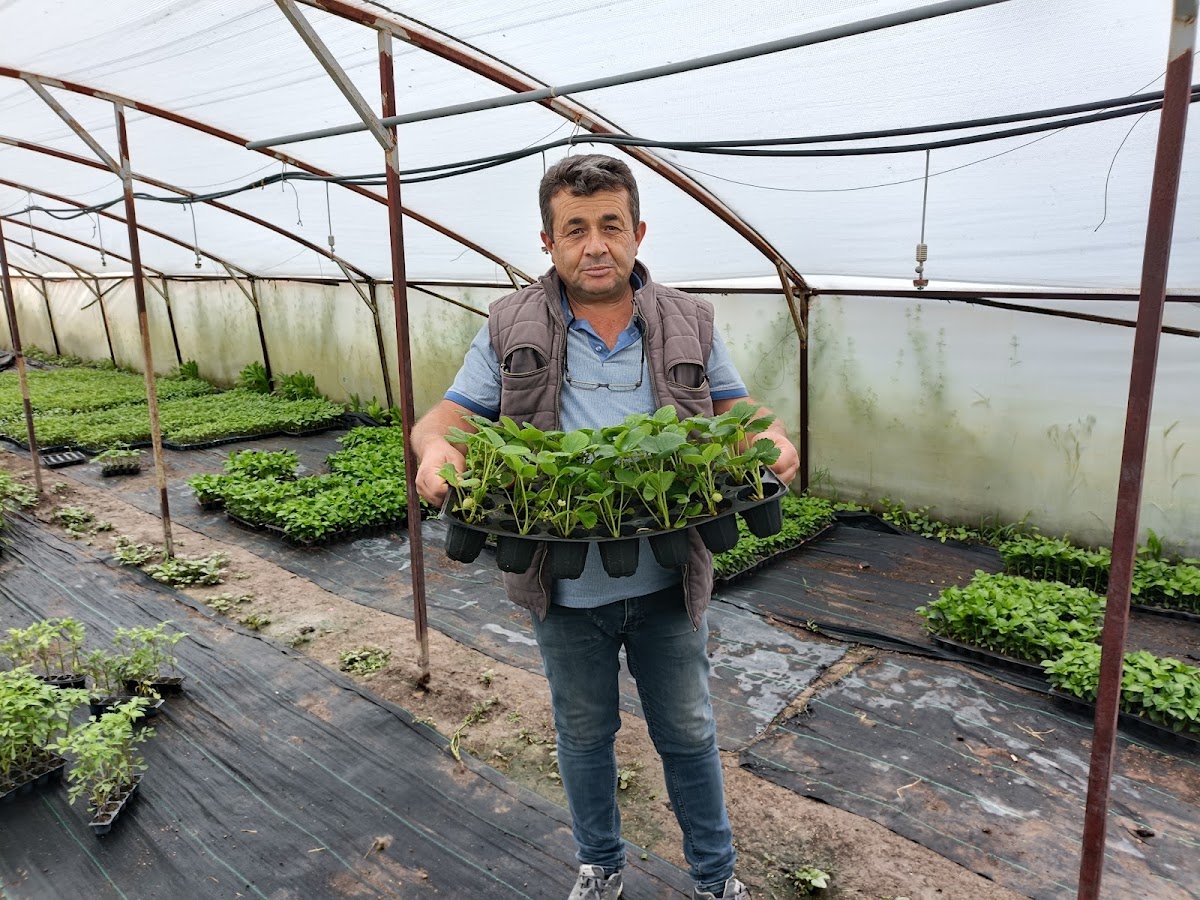 Umut Fide ve Seracılık 2
