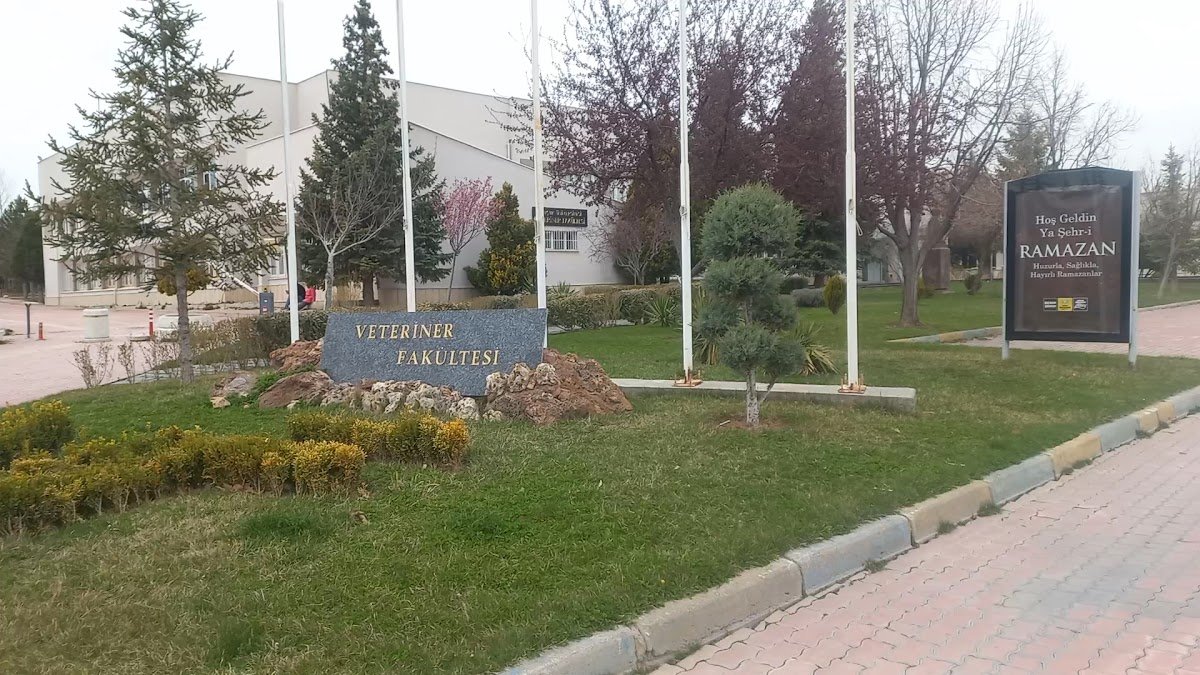 Selçuk Üniversitesi Veteriner Fakültesi