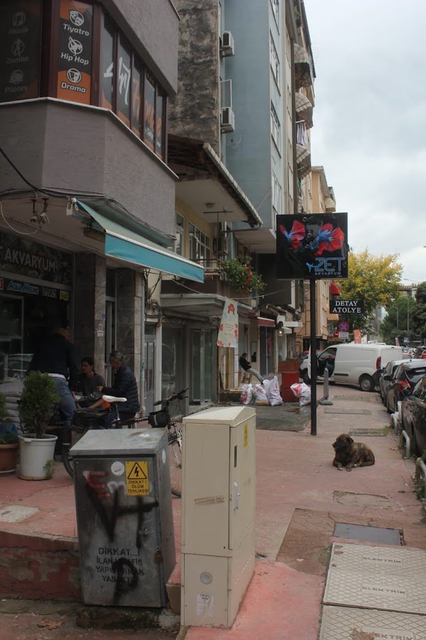 Zet Akvaryum