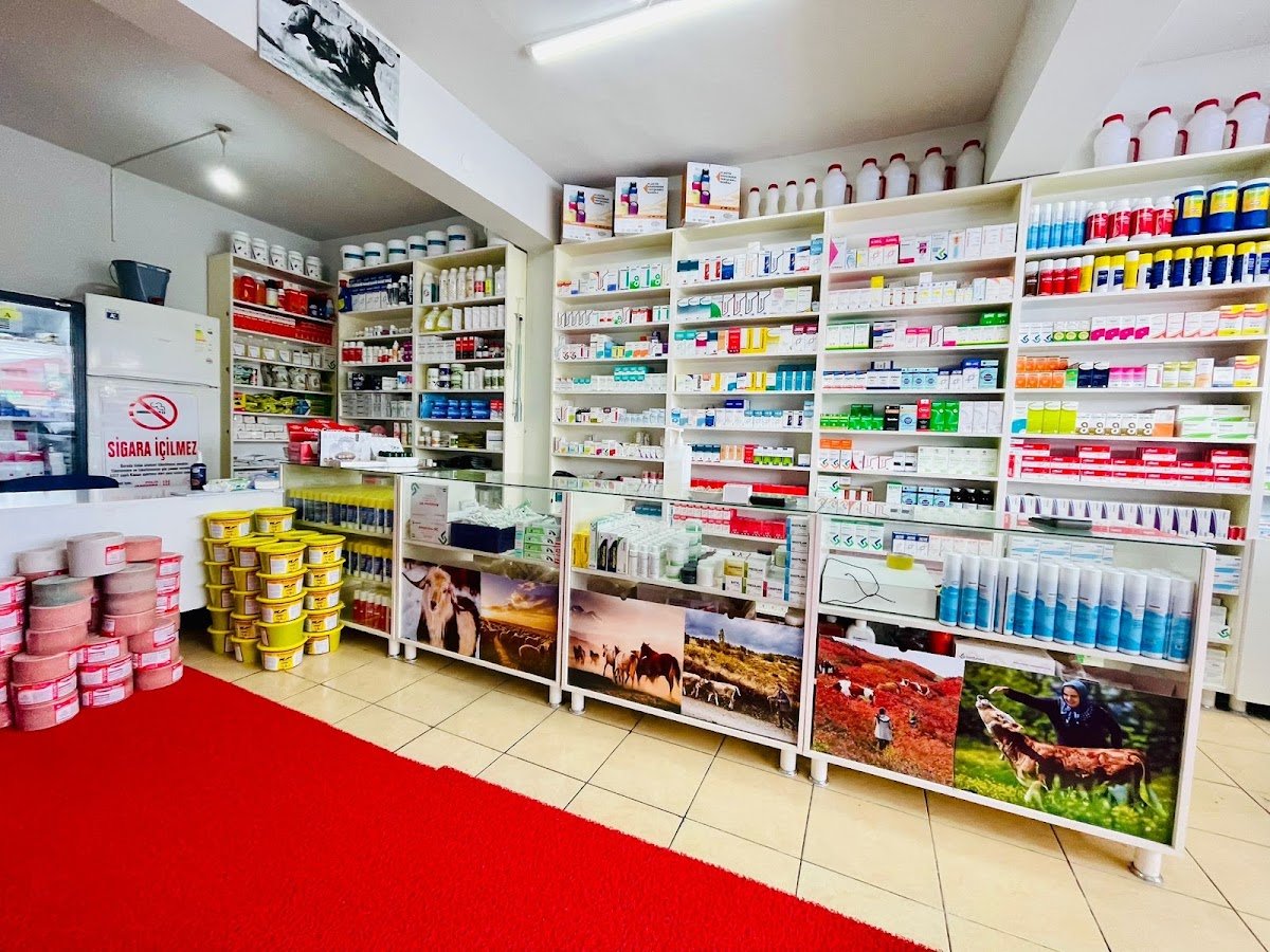 Kay-Vet Veteriner Kliniği