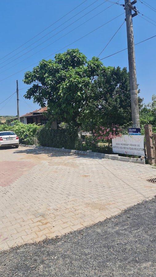 Fidani Botanik, Fidan, Çiçek