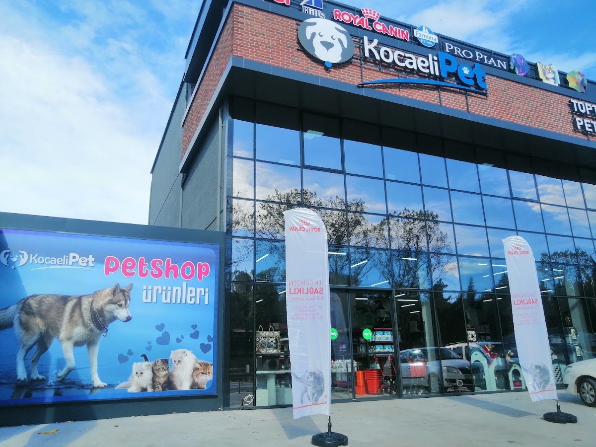 Kocaeli Pet Toptan Perakende Pet Shop Ürünleri