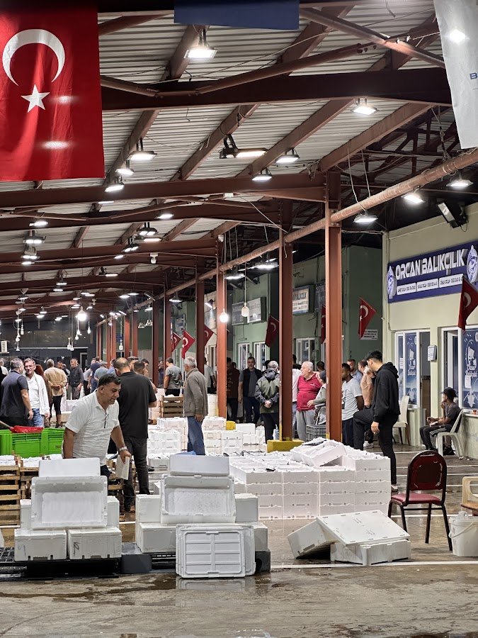 Balık Hali