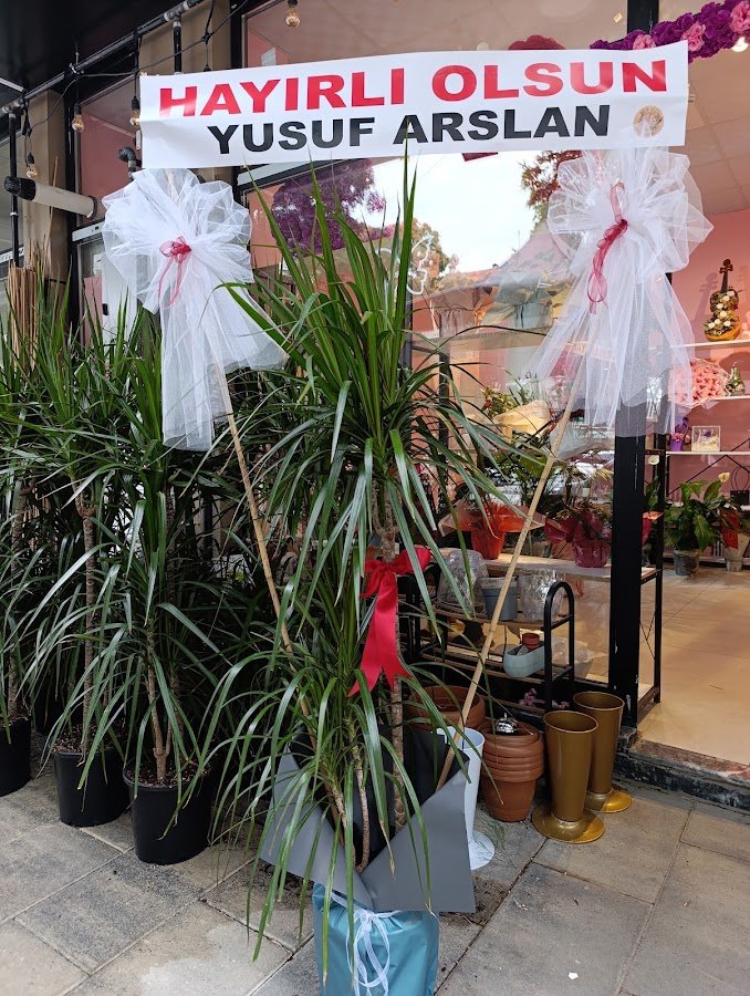 Nur Flower