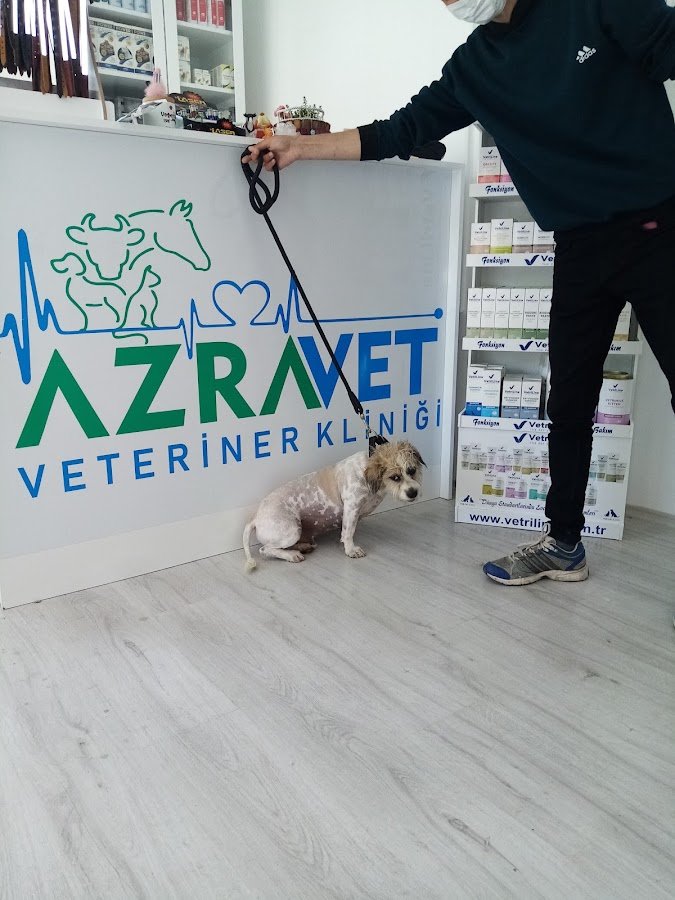 Azra Veteriner Kliniği Karamürsel