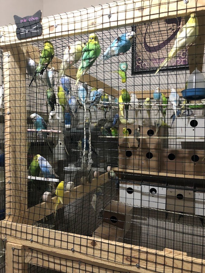 Selçuklu Petshop