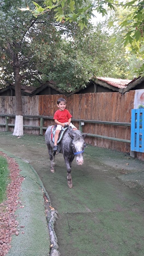 Atlıhan Binicilik ve Aile Dinlenme Tesisleri