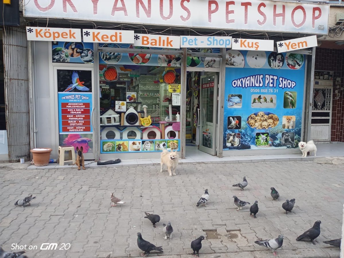 Okyanus Petshop