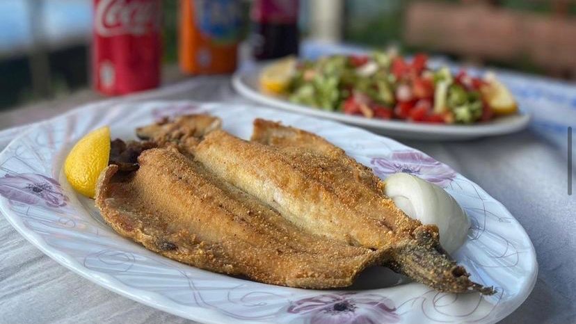 Balkaya Alabalık Çiftliği