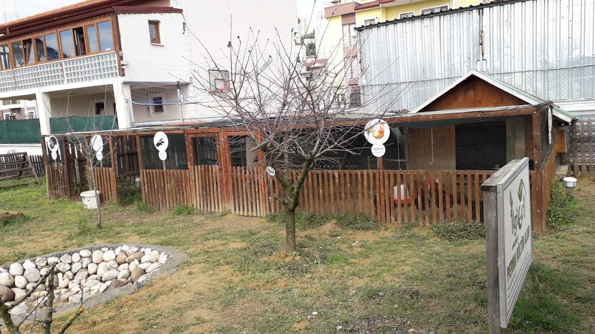 Gelecek Adası Eğitim Kurumları / İzmit