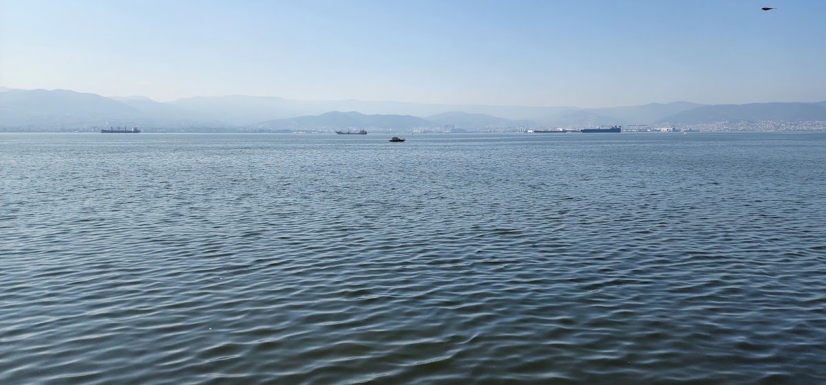 İzmit Balikci