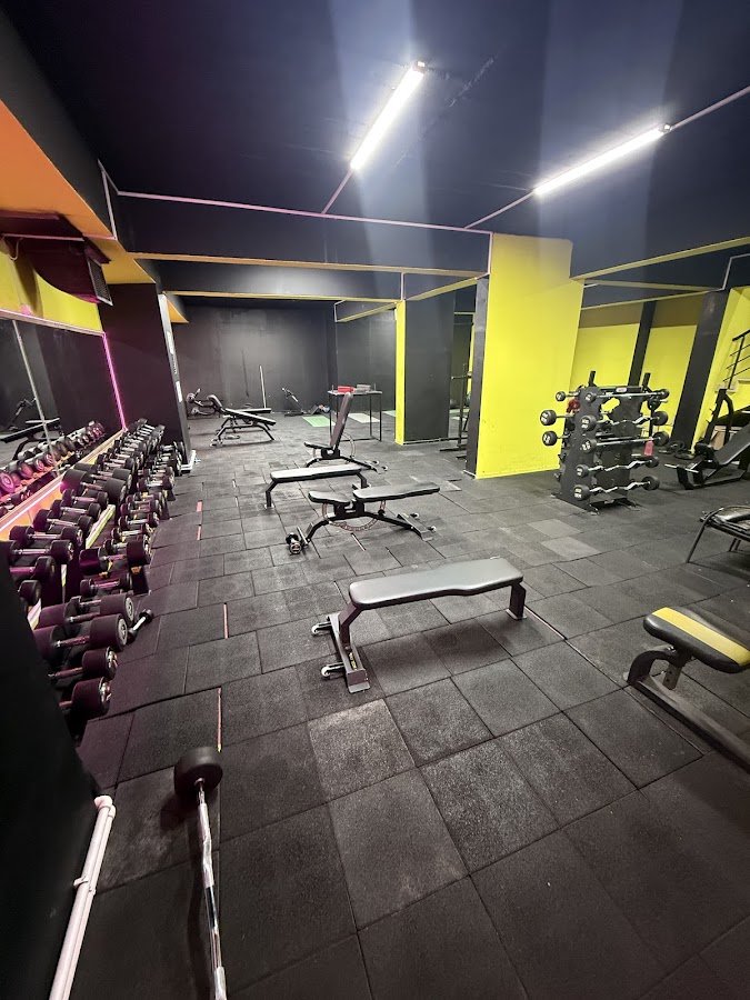 Asil Force Gym