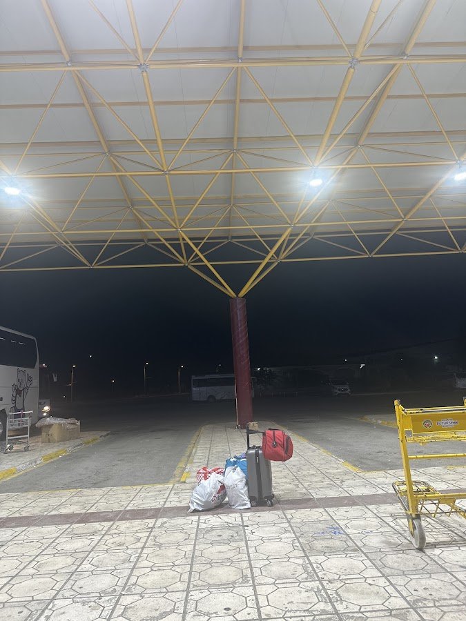 Cesur Bingöl