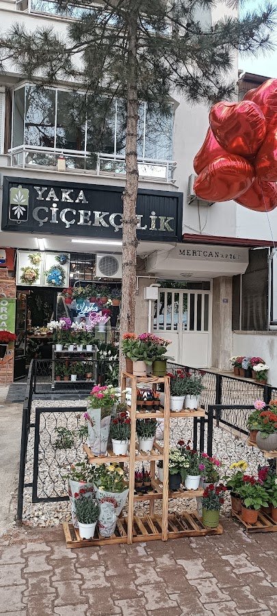 Yaka Çiçek,Yaka Cicekcilik