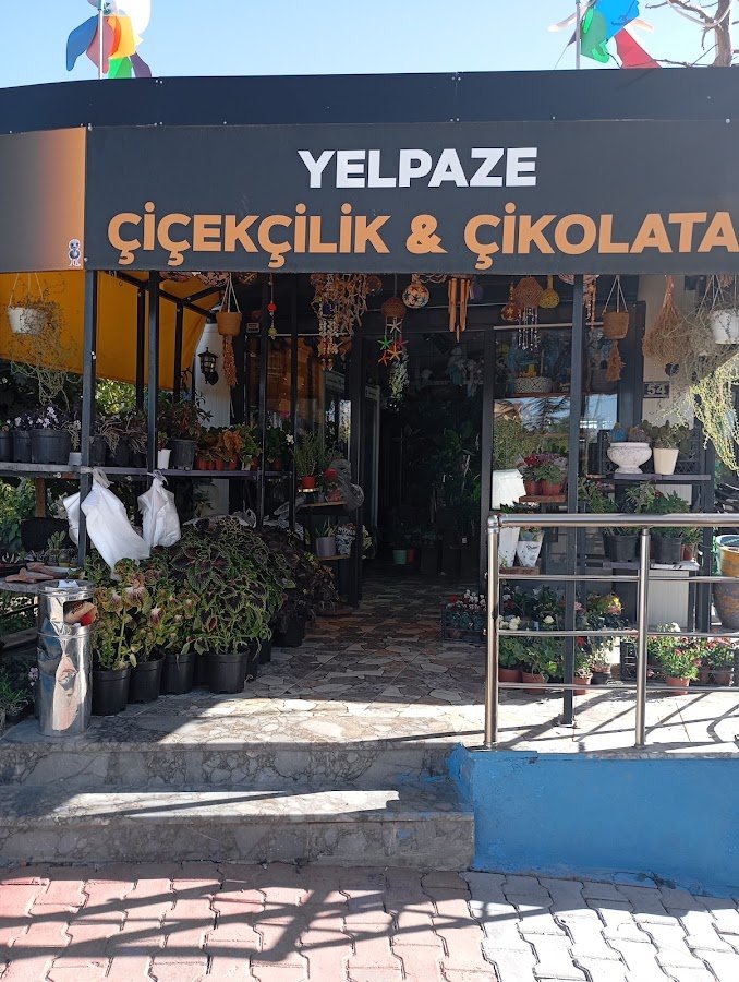 Yelpaze Çiçekçilik Çikolata Tablo