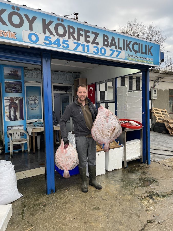 Kıyıköy Körfez Balıkçılık