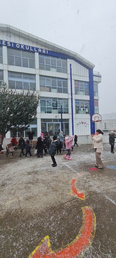 Özel İzmit Düş Bahçesi İlkokulu