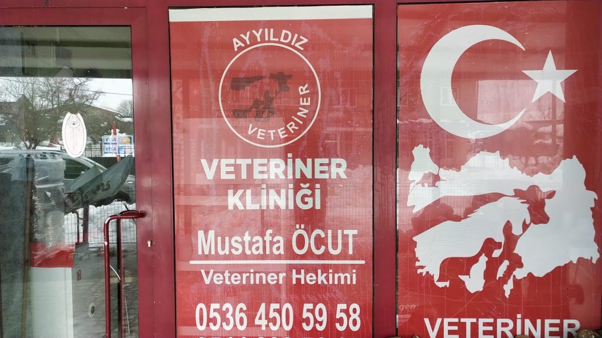Ayyıldız Veterinerlik
