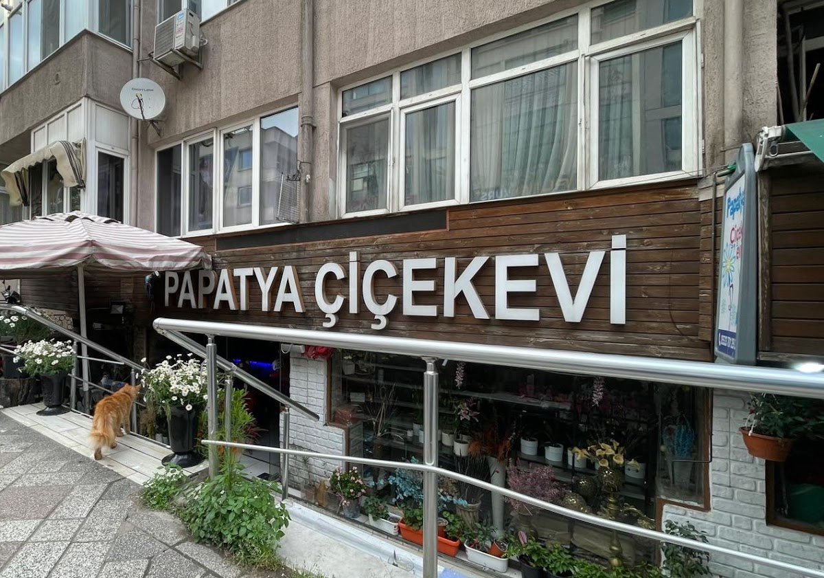 Papatya Çiçek Evi