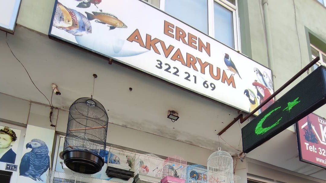 Eren Akvaryum