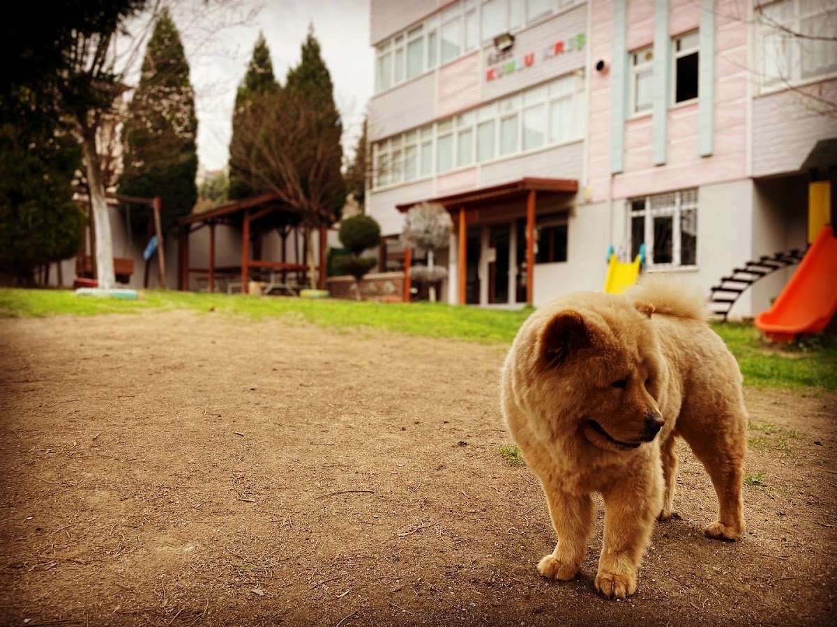 Özel Kumlu Kreş ve Gündüz Bakım Evi