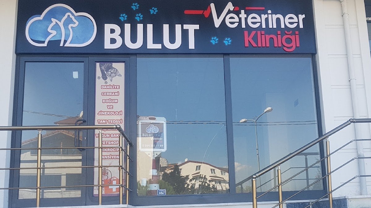 Bulut Veteriner Kliniği Başiskele