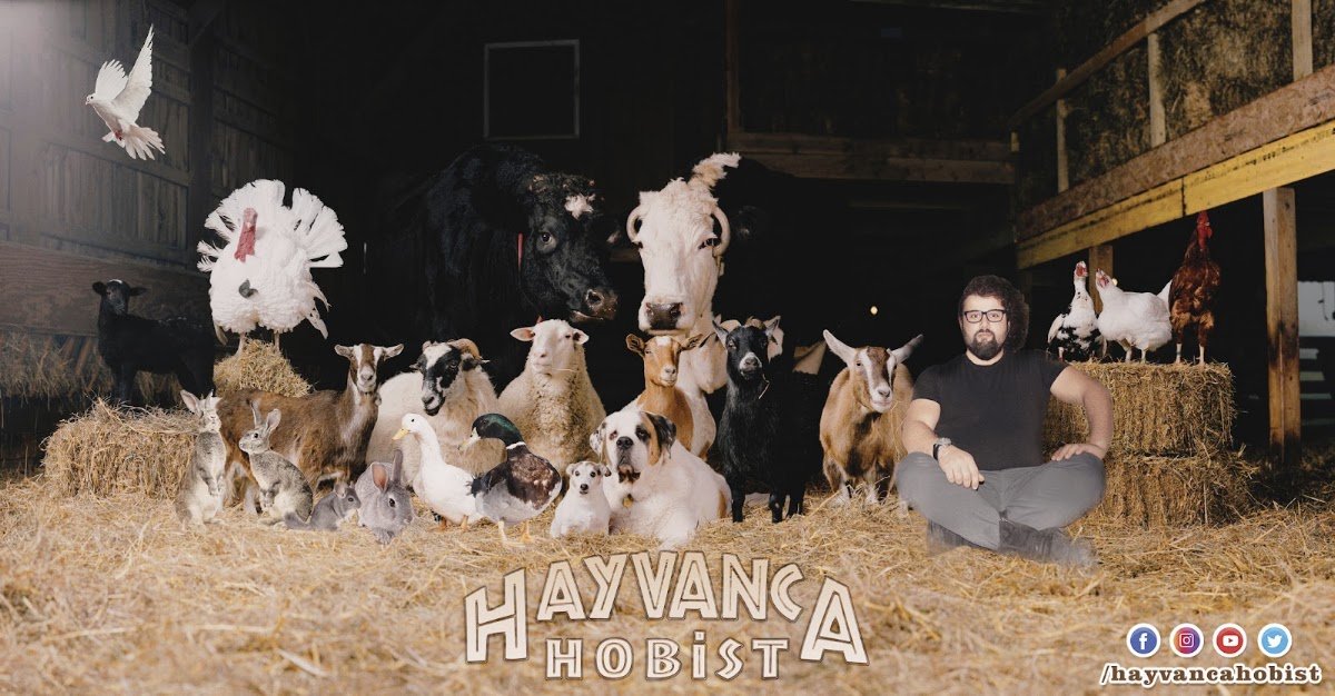 Hayvanca Hobist