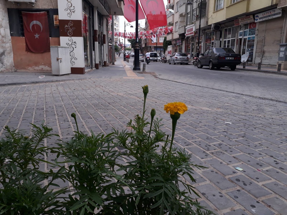 Halan Pastanesi