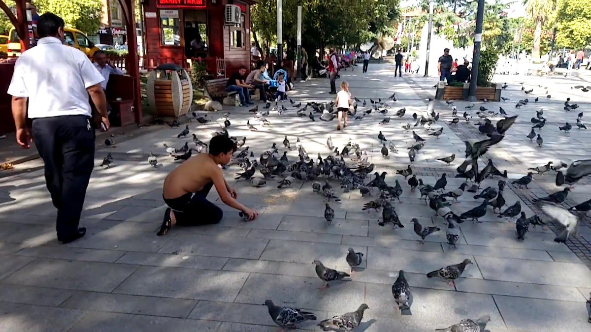 Gölcük Kocaeli