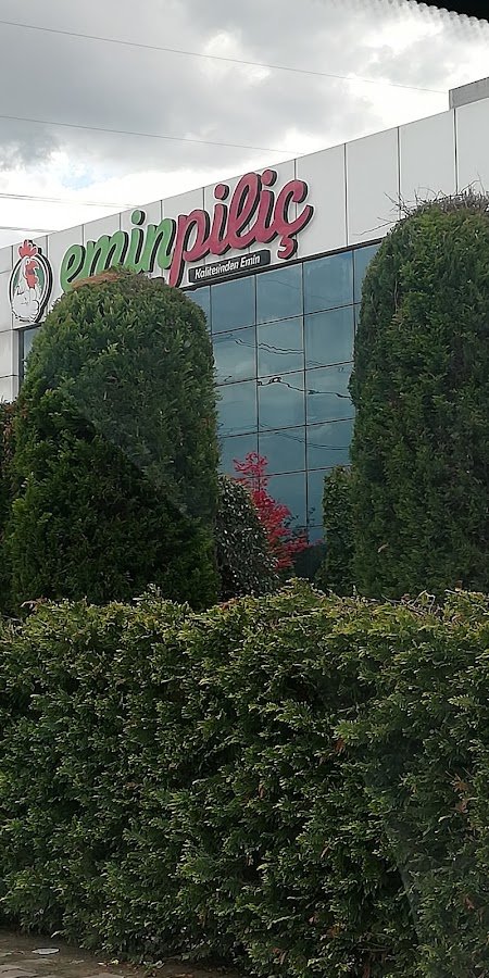 Emin Piliç