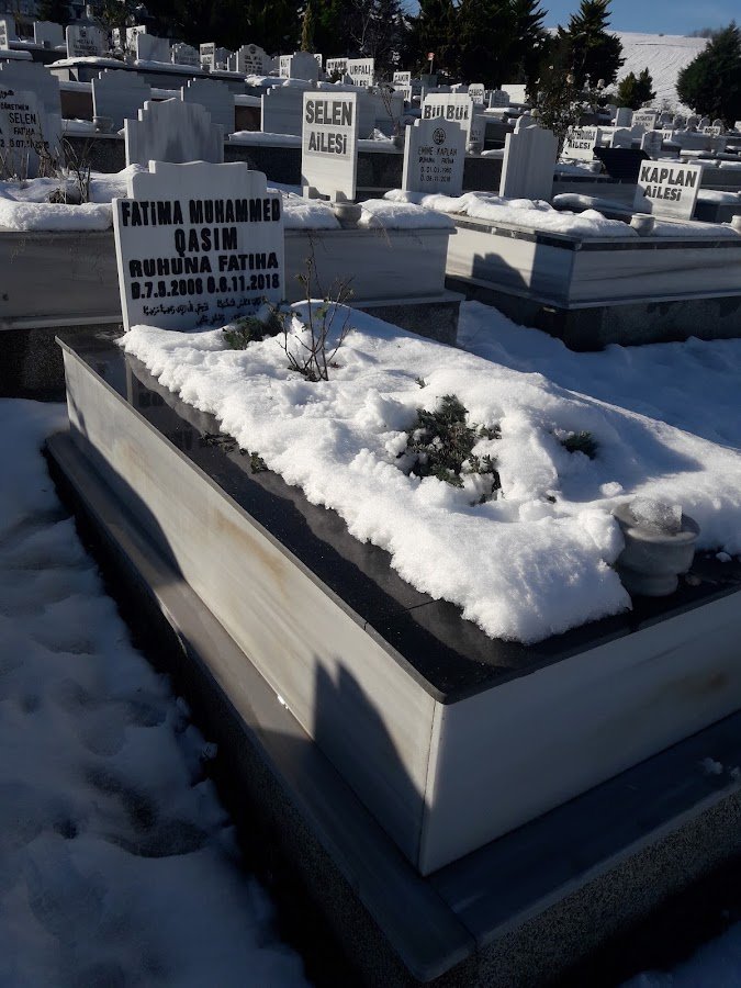 Vitaplant Süs Bitkileri Üretimi Satış Derecik Şehir Mezarlığı