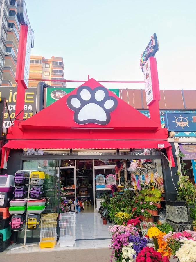 Cadde Çiçekçilik