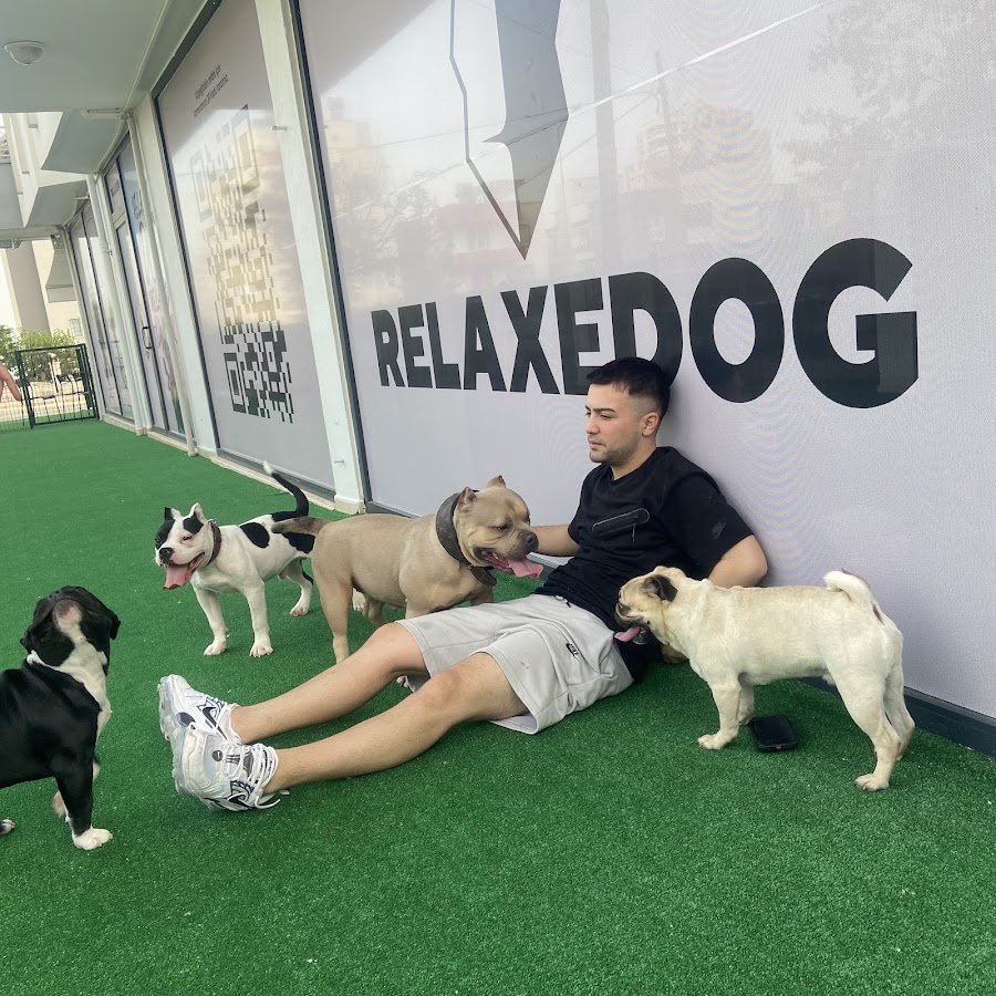 Relaxedog • Pozitif Köpek Eğitim Merkezi